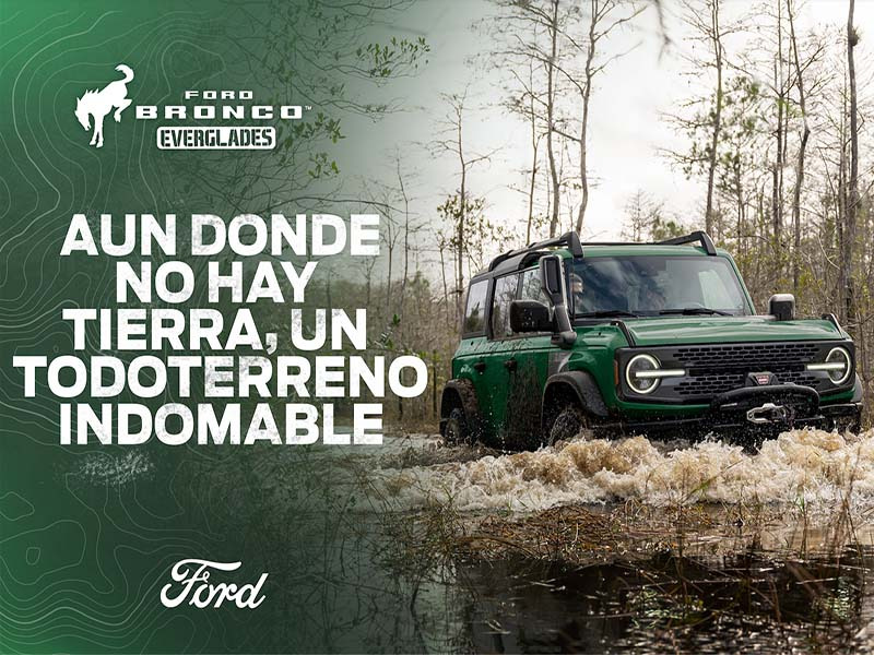 Ford Bronco Everglades